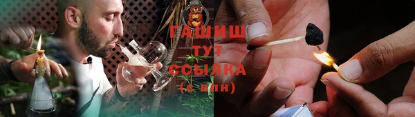 прущие грибы Волоколамск