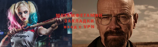прущие грибы Волоколамск