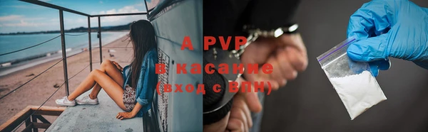 прущие грибы Волоколамск