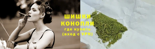 прущие грибы Волоколамск