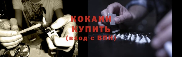соль ск Волосово