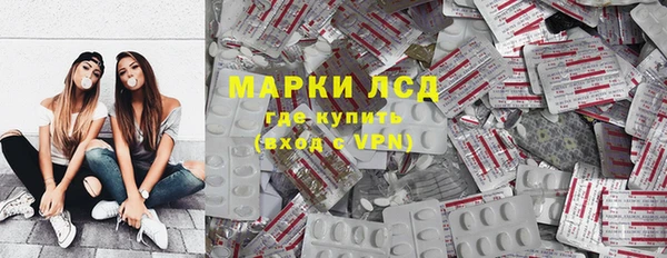 прущие грибы Волоколамск