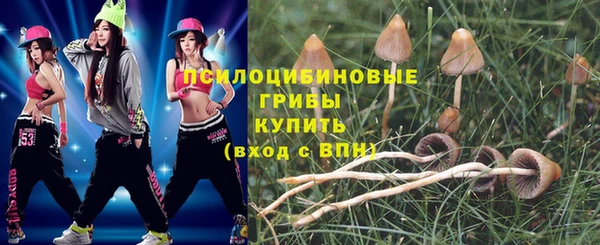 ALPHA PVP Володарск