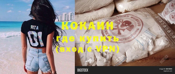 прущие грибы Волоколамск
