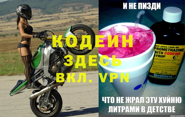 прущие грибы Волоколамск
