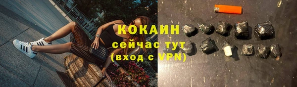 соль ск Волосово
