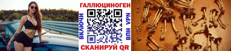 ссылка на мегу ТОР  Коломна  Псилоцибиновые грибы Cubensis 